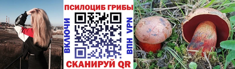 Галлюциногенные грибы Psilocybine cubensis  Армавир 